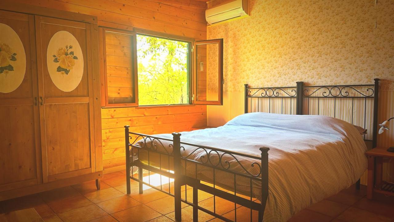Night In The Wood Sorbo Villa Campagnano Di Roma Exterior photo